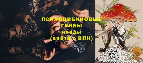 spice Балахна