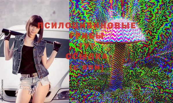 spice Балахна