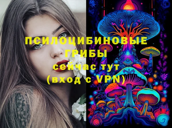 spice Балахна